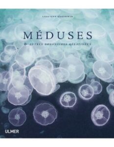 La méduse Aurélie - Oceanopolis