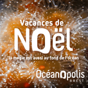 Animations des vacances de Noël
