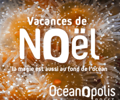 Nos animations pour les vacances de Noël