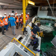 DER PRIVILEGIERTE BESUCH DER KULISSEN VON OCEANOPOLIS
 
