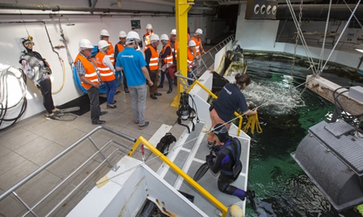 Visite des coulisses d'Océanopolis © Océanopolis