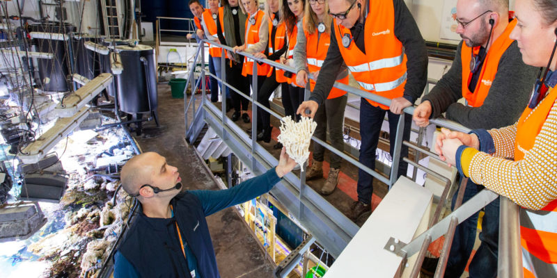 Visite des coulisses d'Océanopolis - © Océanopolis