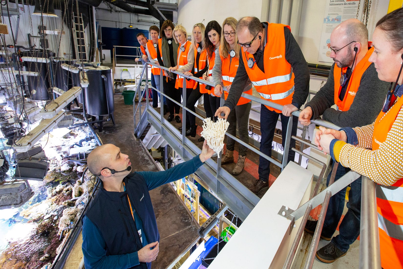 Visite des coulisses d'Océanopolis - © Océanopolis