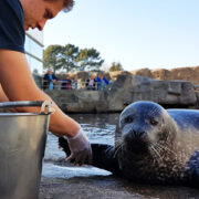 Become an animal keeper for a day !
