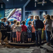 ORGANISER UNE VISITE GUIDÉE AVEC VOTRE CLASSE À Océanopolis
