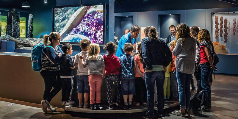 Pavillon Bretagne - Animation Minilab à Océanopolis © Simon Cohen