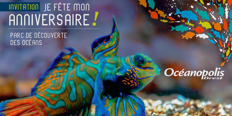 Anniversaire Pour Enfant Oceanopolis Anniversaire Pour Enfant Oceanopolis