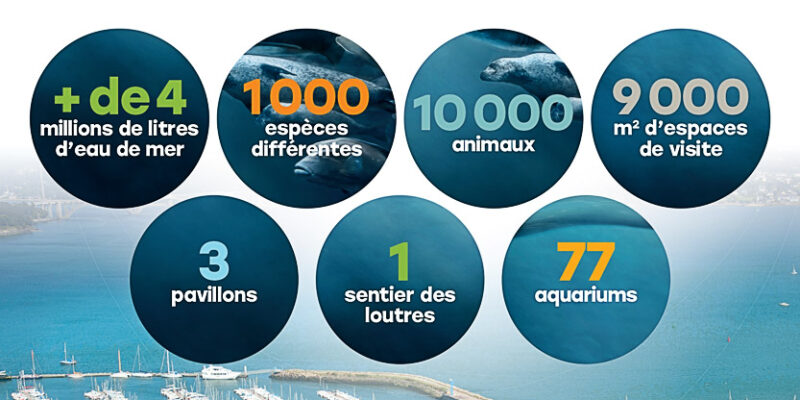 Océanopolis en chiffre