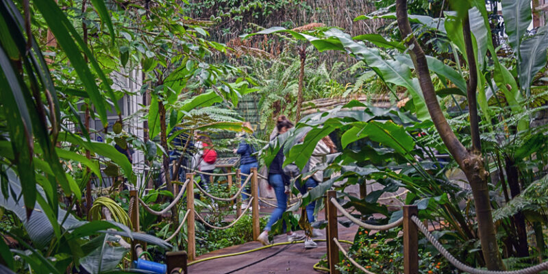 La serre tropicale © J.ANSQUER - Océanopolis