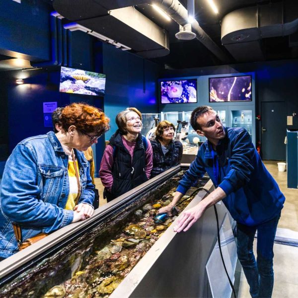 Les découvertes du Minilab au Pavillon Bretagne à Océanopolis autour de l'animation des vacances de printemps "Les architectes du littoral" avec médiateur scientifique