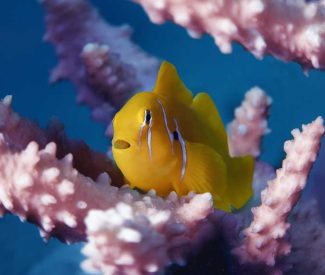 Animations des vacances de printemps