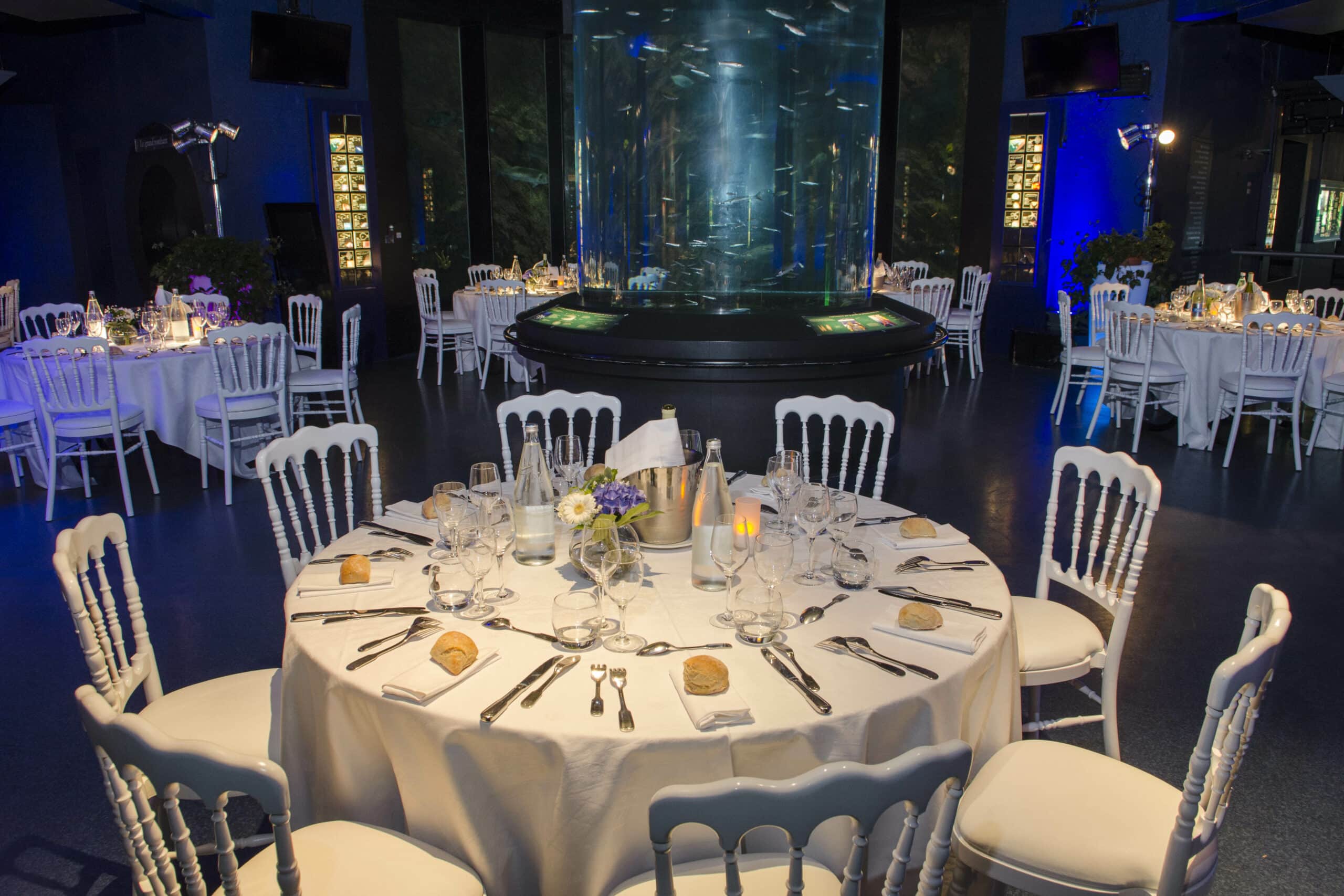 Dîner devant les aquariums au cœur du pavillon Bretagne d'Océanopolis.