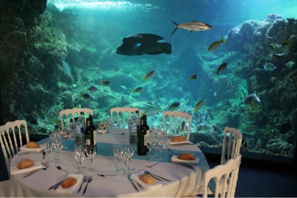 Diner dans le pavillon tropical