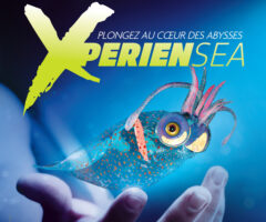 This summer at Océanopolis,
Xpériensea