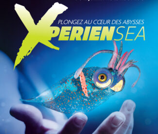 This summer at Océanopolis,
 Xpériensea
