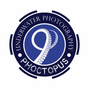 Phoctopus