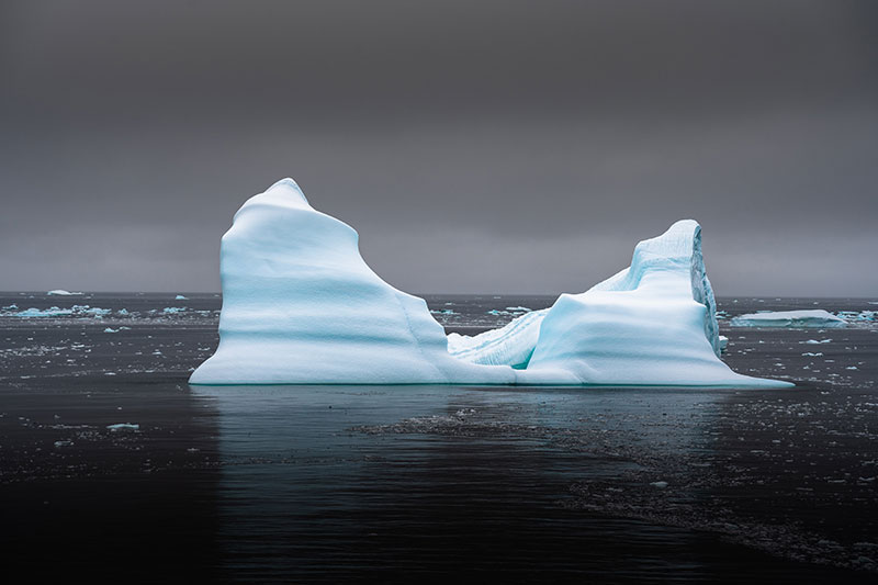 Océanopolis engagé avec la Plateforme Océan et Climat