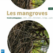 [ÉCO]SYSTEMES & CO : les récifs coralliens et les mangroves
