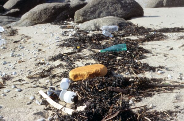 Déchets plastiques sur la plage - © Océanopolis