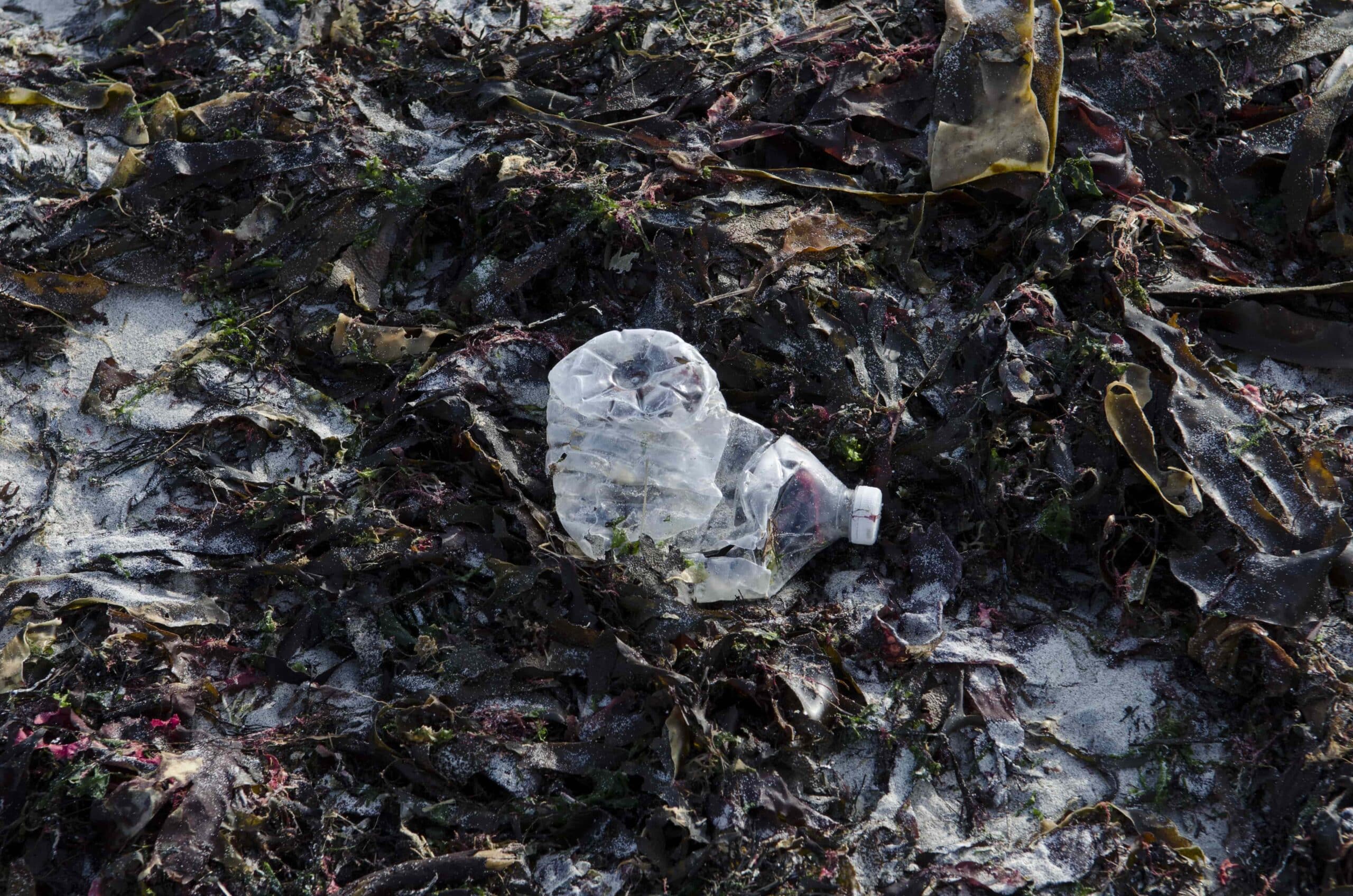 Déchets plastiques sur la plage - © Océanopolis