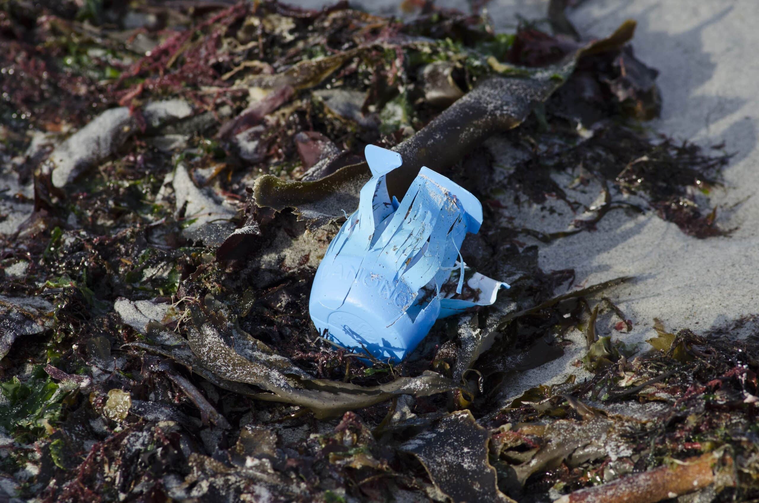 Déchets plastiques sur la plage - © Océanopolis