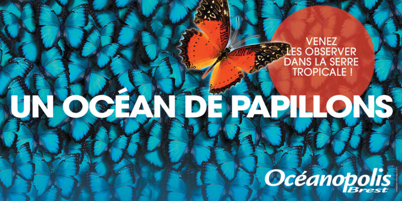 Un océan de papillons 2019 - © Océanopolis