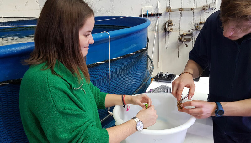 Bouturage de corail pour Manon, 300è soigneur d'un jour - © Océanopolis