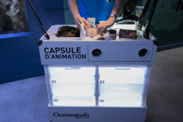 Capsule d'animation - © Océanopolis