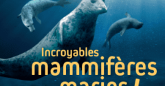 Animations des vacances d’hiver : Incroyables mammifères marins