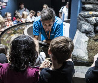 Nos animations hors vacances scolaires