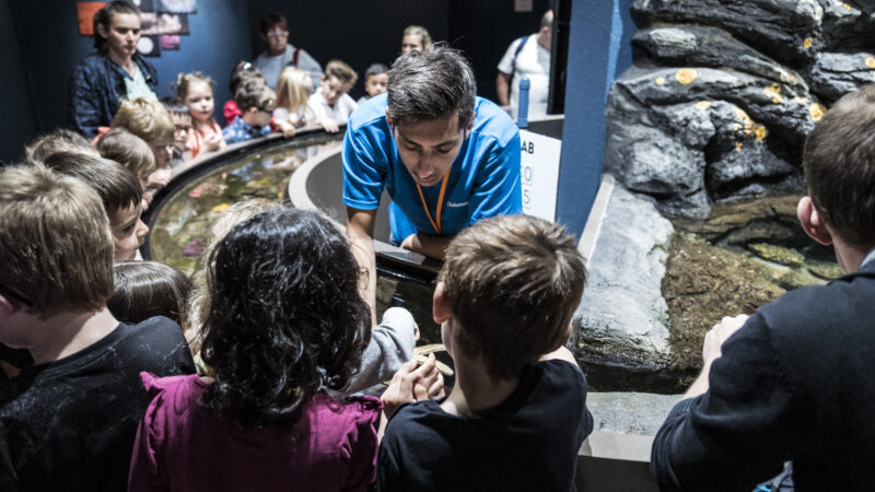 Animations-Minilab_PavillonBretagne_Oceanopolis_Credit-photo_Simon-Cohen (2)