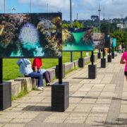 Exposition : « Lumière sous les pontons »
