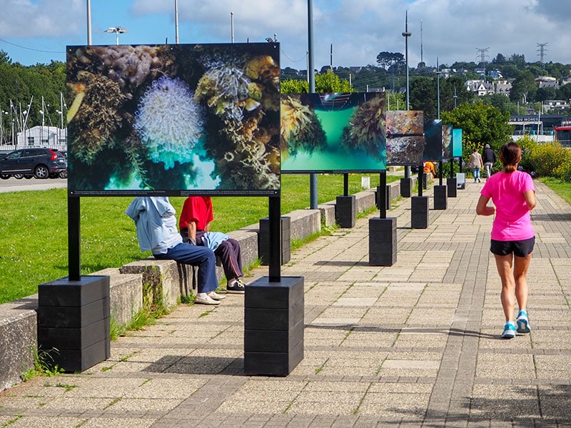 Exposition "Lumière sous les pontons" - © Océanopolis