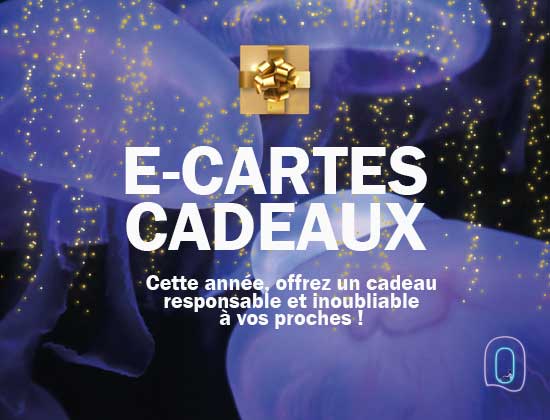 Les cartes-cadeaux  peuvent-elles être utilisées n'importe où dans le  monde ? - Quora