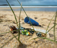 EXHIBITIONS : PLASTIK PANIC IN THE OCEAN