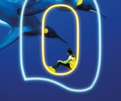 Oceanopolis reopening may 2021