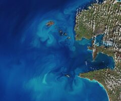 EXHIBITION: SEEN FROM SPACE