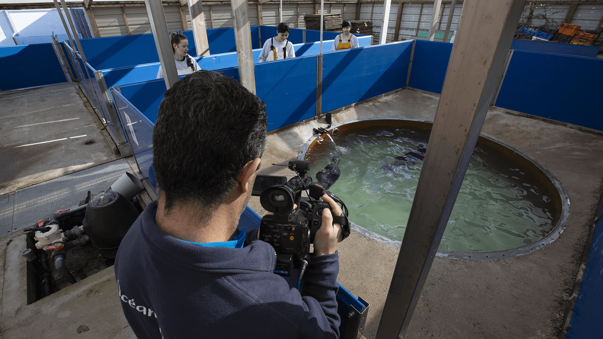 camera embarquée en direct du centre de soins