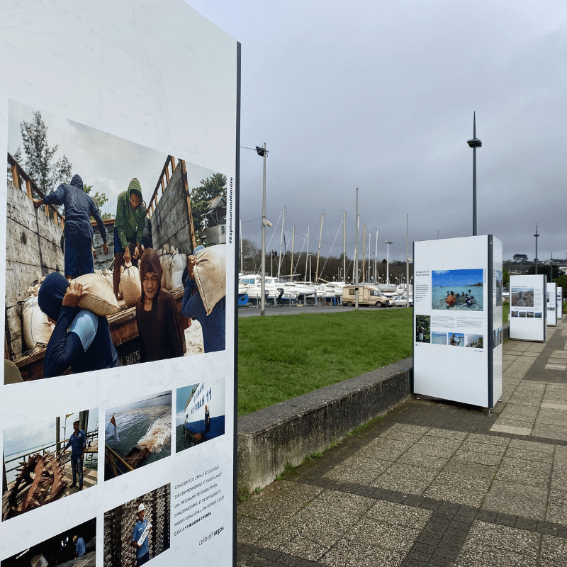 photos de l'exposition Amer sur la promenade de la marina du moulin blanc
