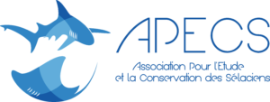 Logo APECS