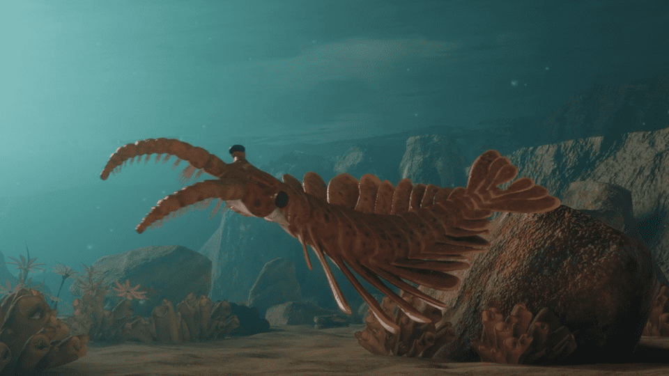 Der seltsame Garnele Anomalocaris