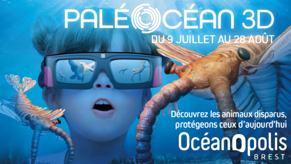 visuel paleocean