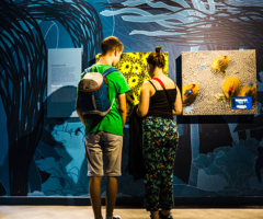 4 conseils pour visiter Océanopolis cet été