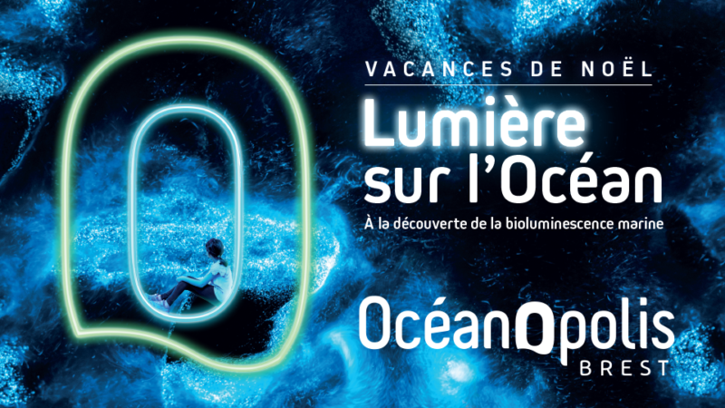 Affiche Lumière sur l'Océan