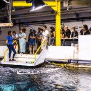 Visitez les coulisses d’Océanopolis !
