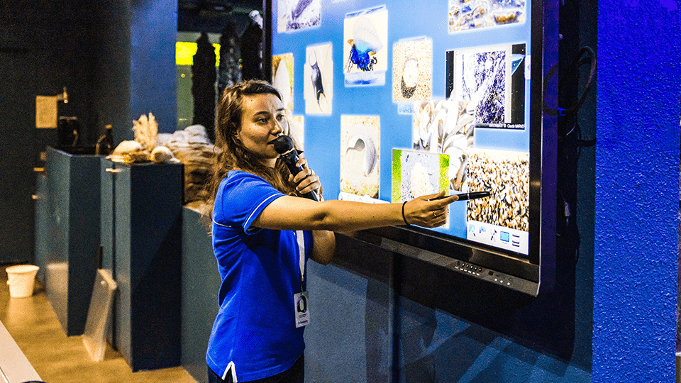 Animation au Minilab du pavillon Bretagne à Océanopolis