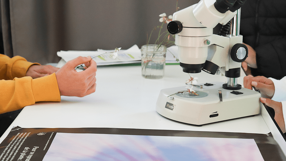 Fête de la science à Morlaix
