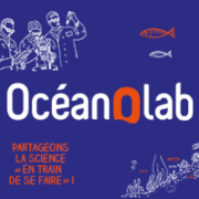 Ouverture d’Océanolab, un nouvel espace de visite à Océanopolis
