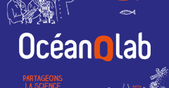 Ouverture d’Océanolab, un nouvel espace de visite à Océanopolis