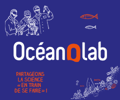 Ouverture d’Océanolab, un nouvel espace de visite à Océanopolis